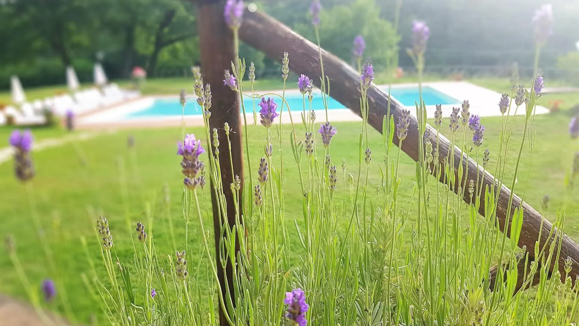 Villa Le Querce - San Galgano Chiusdino